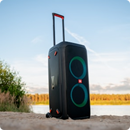 30W Cabinet Loudspeaker